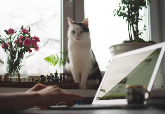 Hybrid work: l’esperimento Message