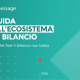 Guida all'ecosistema di bilancio