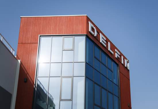 Delfin - cover