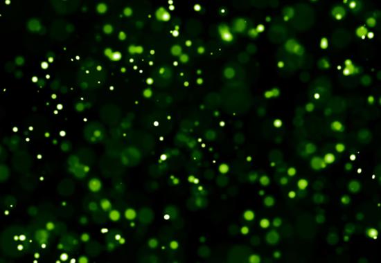 Feralpi Corporate Website