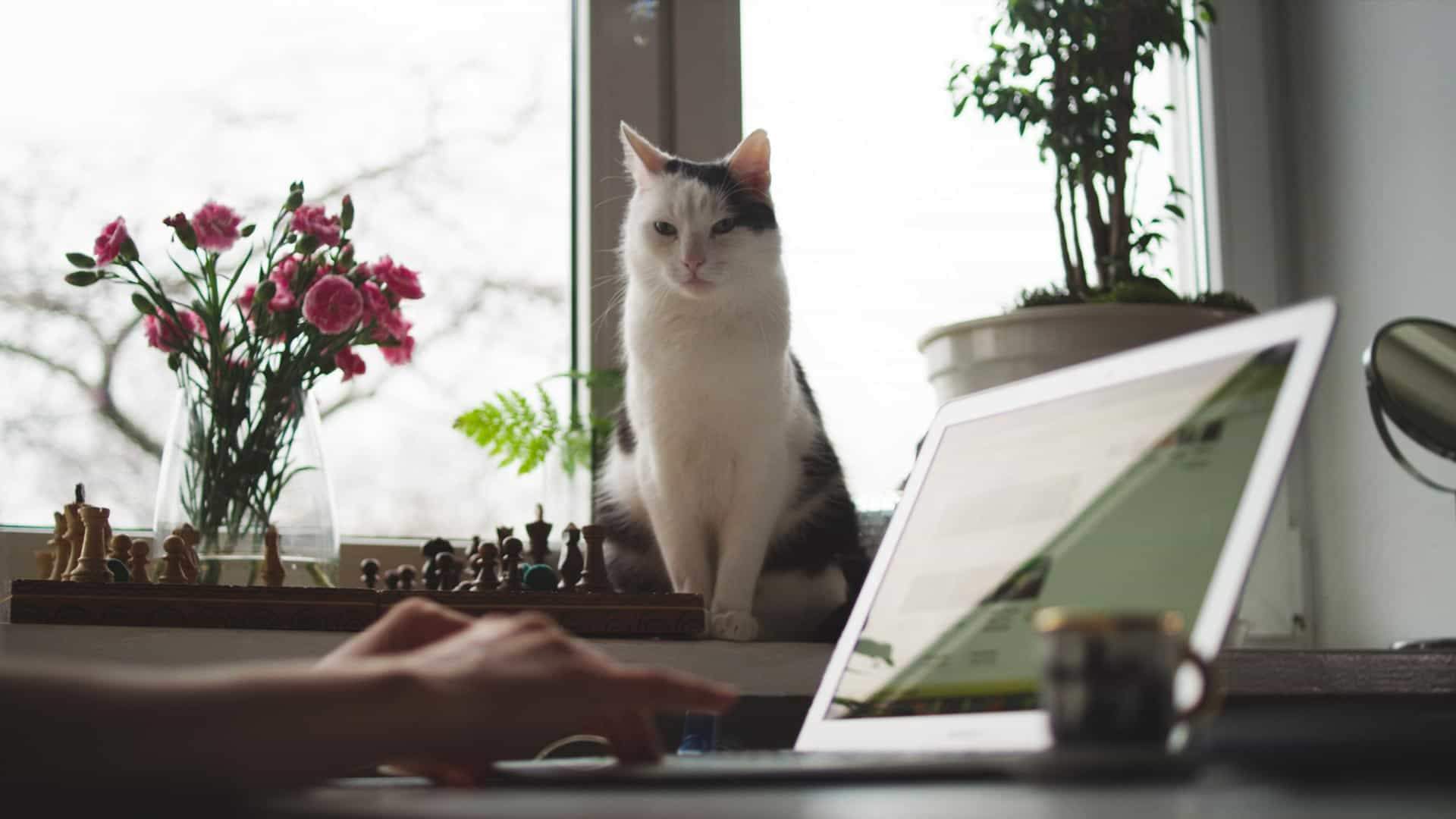 Hybrid work: l’esperimento Message