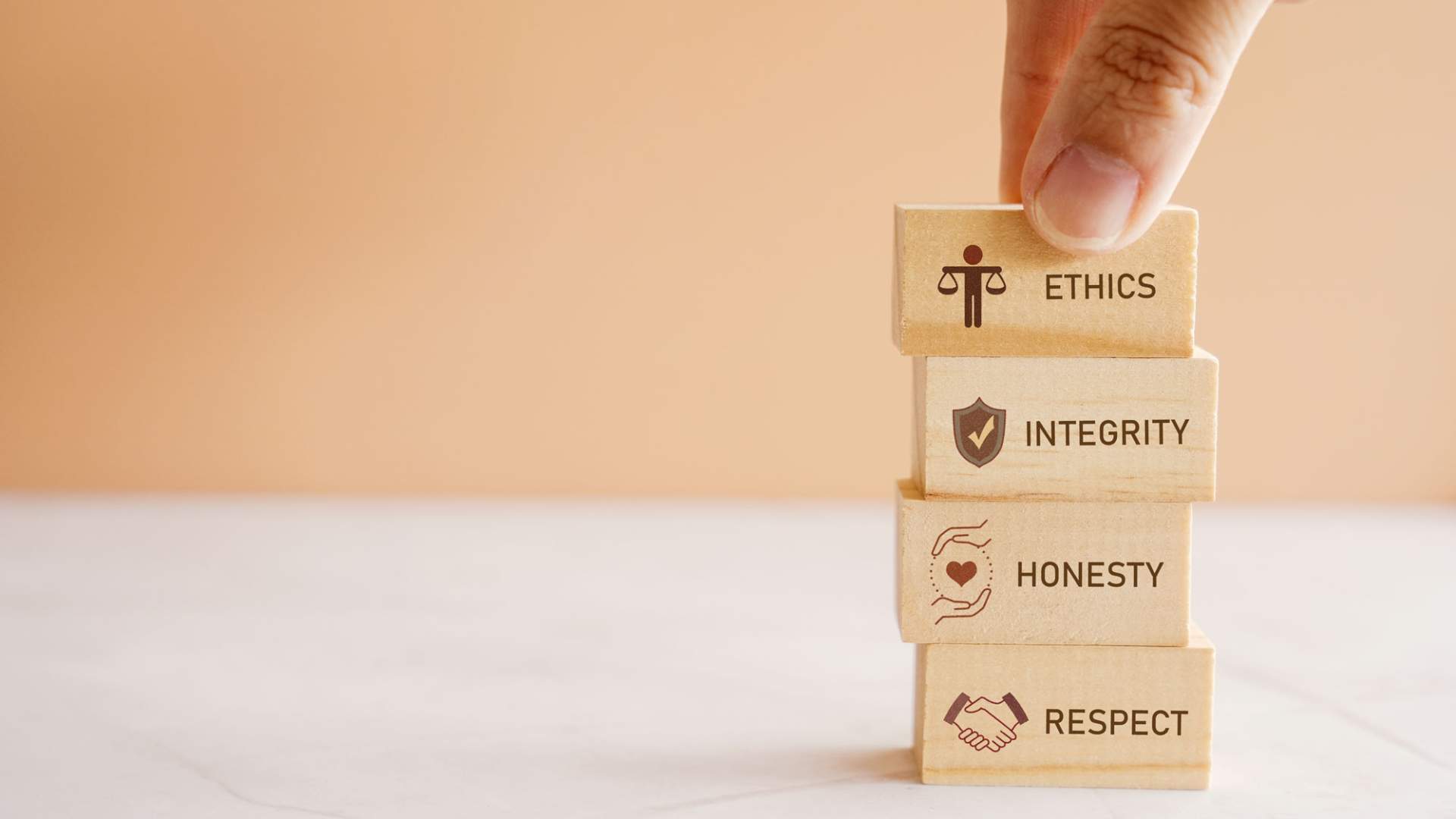 Valori modello organizzativo