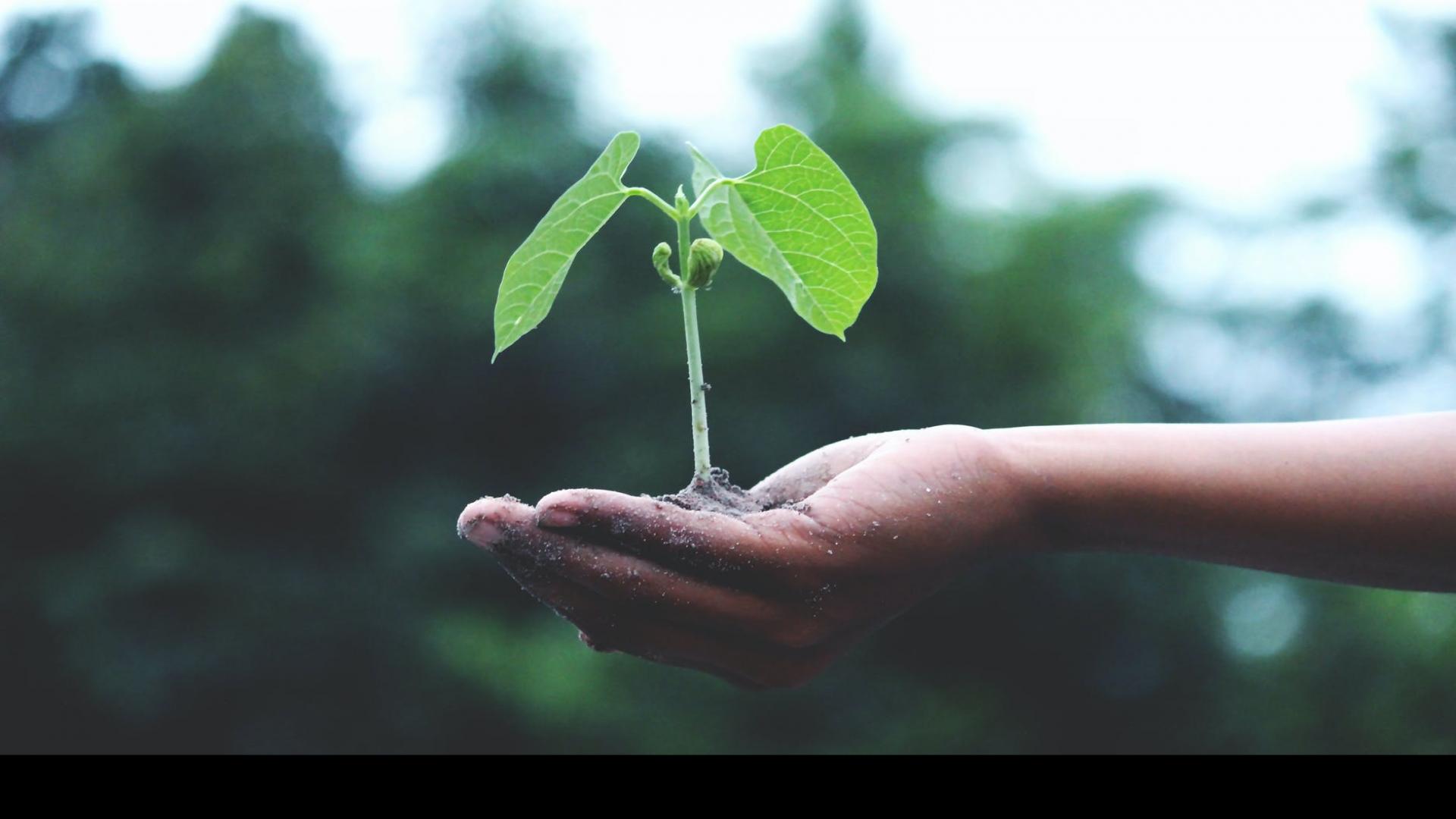 la voce della sostenibilità