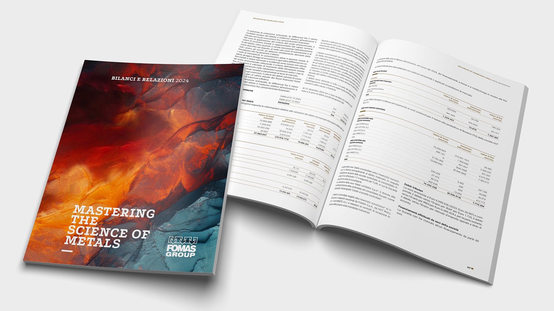 Fomas Group - Bilancio di sostenibilità e finanziario 2024 e sintesi di sostenibilità 