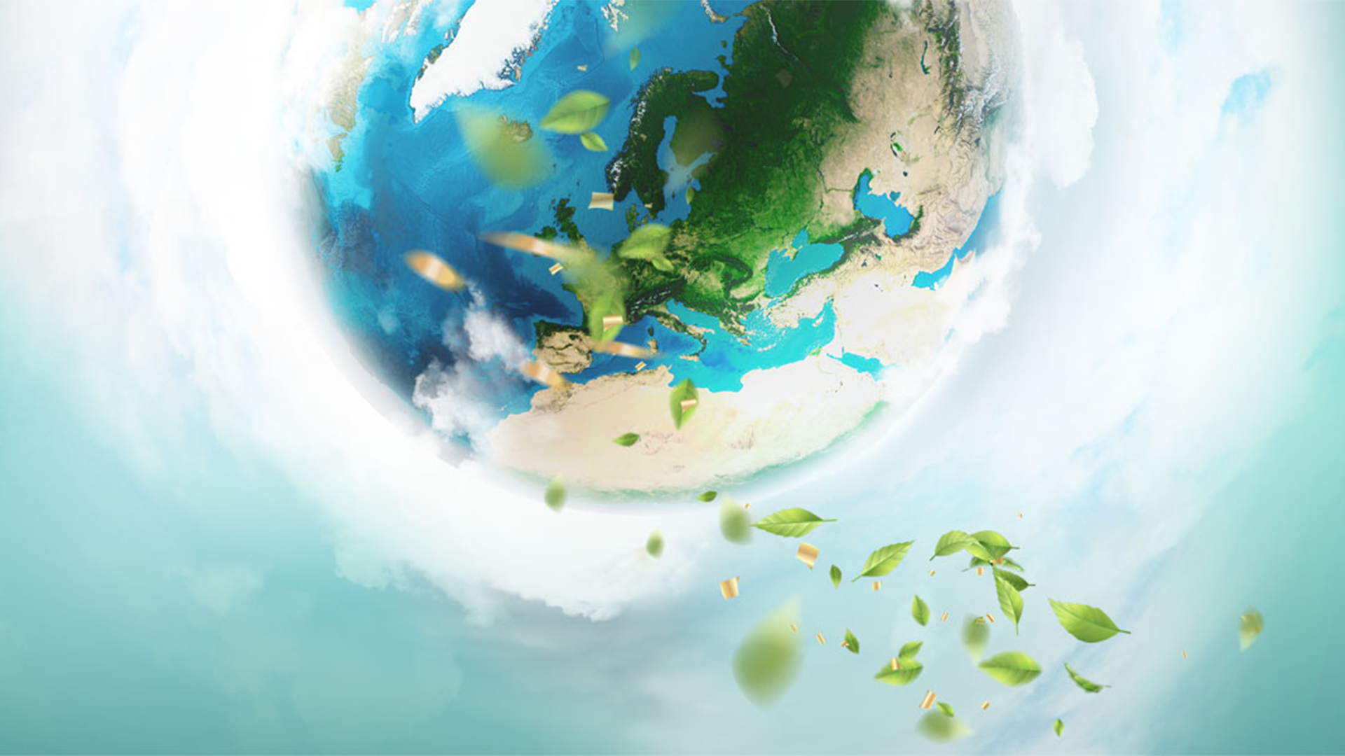 Sustainability Internal Campaign