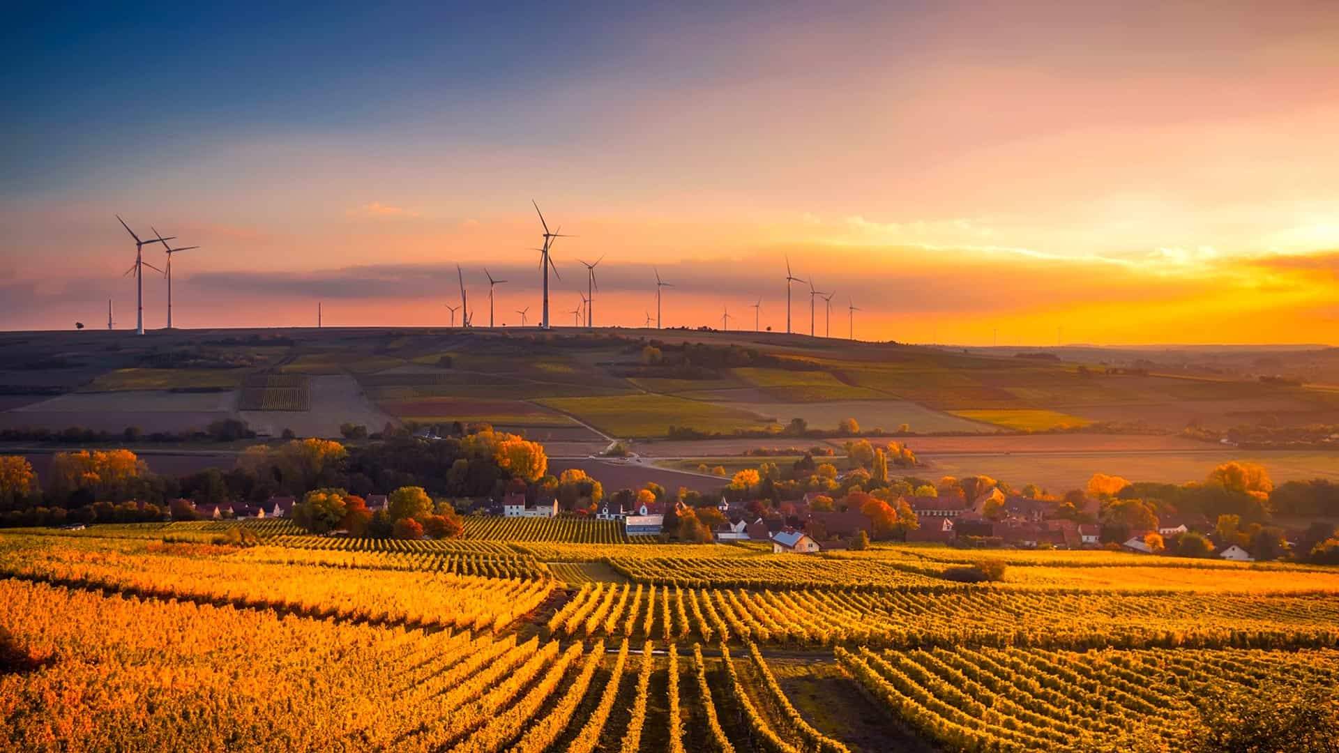 Osservatorio "Sustainability Sentiment"