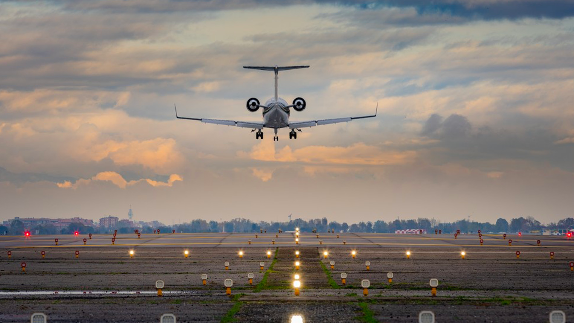 cover Sea AI Corporate Agent